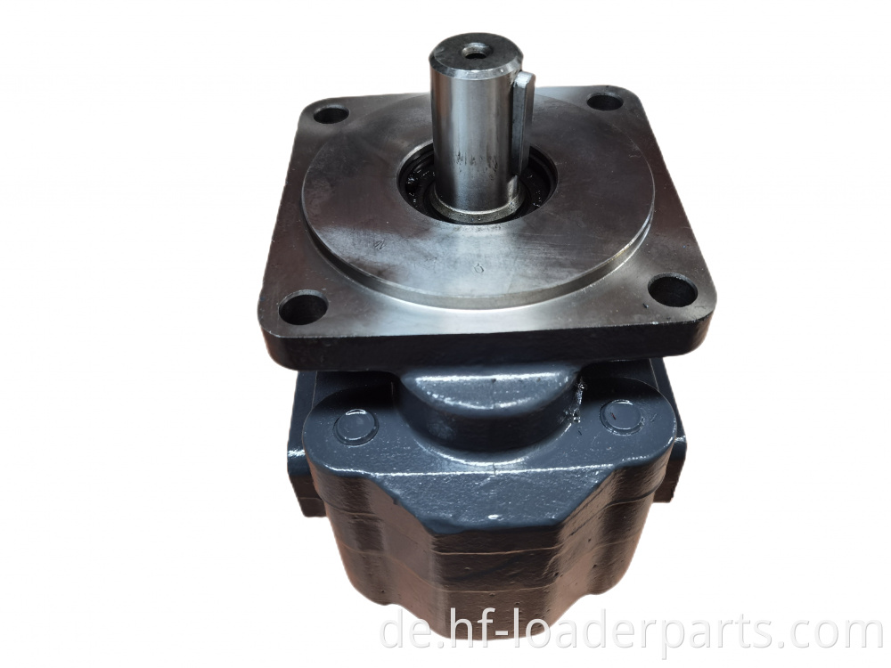 Hydraulic Gear Pump for SEM